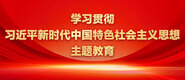 搞入色视频学习贯彻习近平新时代中国特色社会主义思想主题教育_fororder_ad-371X160(2)